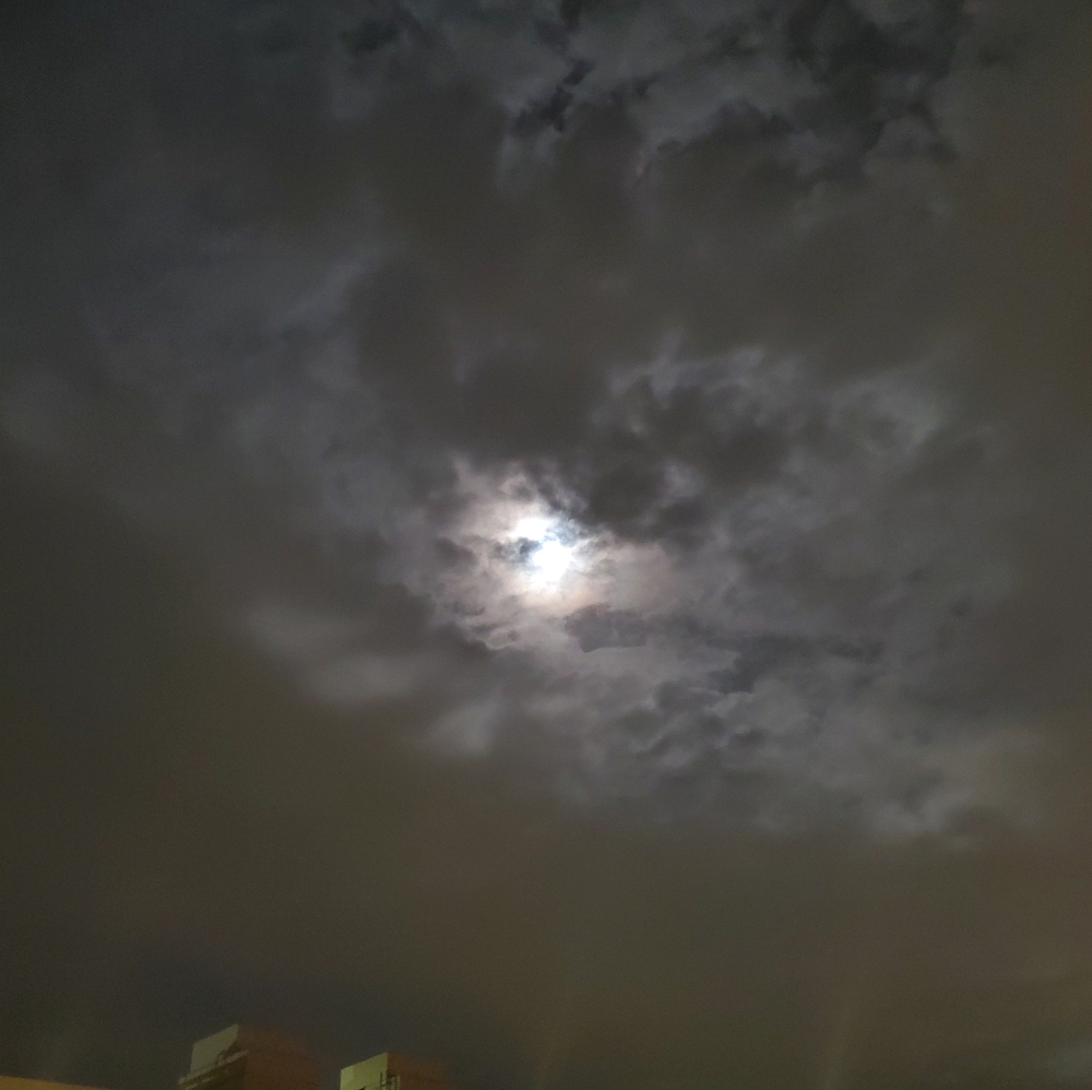 Meet your Posher, Shane